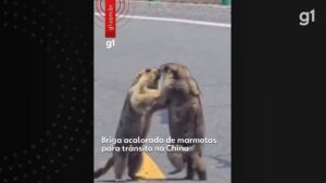 13592830.jpg