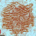 73cbe690-3b3a-11f0-862d-0b8a60a78e0a.jpg