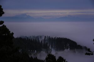 ap23010507561572.jpg