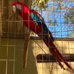 Captura-de-tela-2025-06-20-092806.png