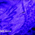 a255d9c0-6d72-11f0-8dbd-f3d32ebd3327.jpg